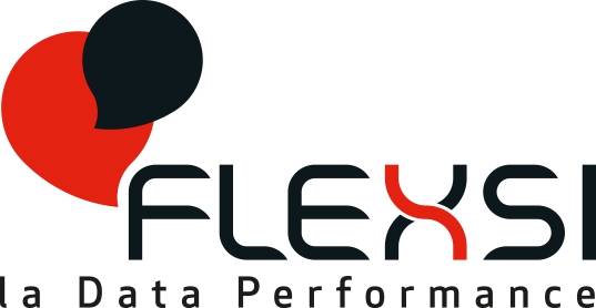 Logo FLEXSI